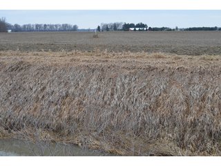 Property photo 37 - 175 Acres Offered in 5 Tracts - Tontogany, Ohio Farm Land Auction